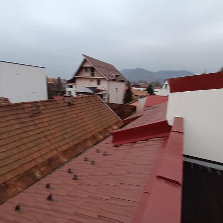 Old Town Studio Apartments Baia Mare Exteriör bild
