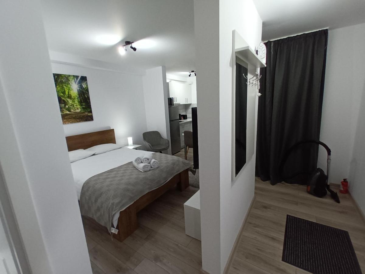 Old Town Studio Apartments Baia Mare Exteriör bild
